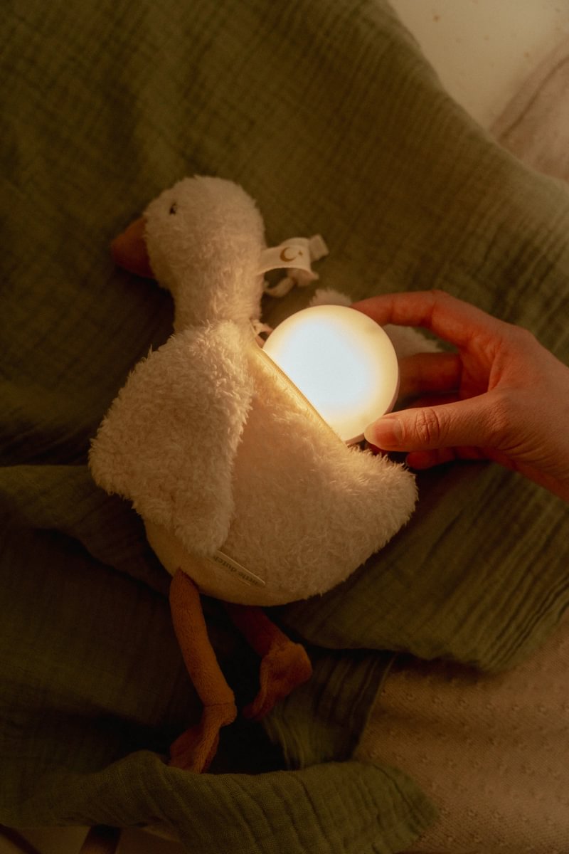 LD Cuddle Goose Light & Sound