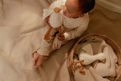 LD Cuddle Goose 25cm GRS