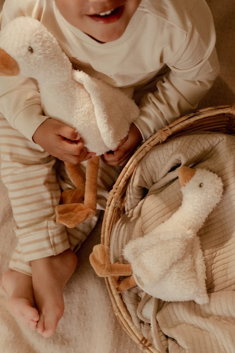 LD Cuddle Goose 25cm GRS