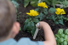 LD Garden Set 10pc FSC