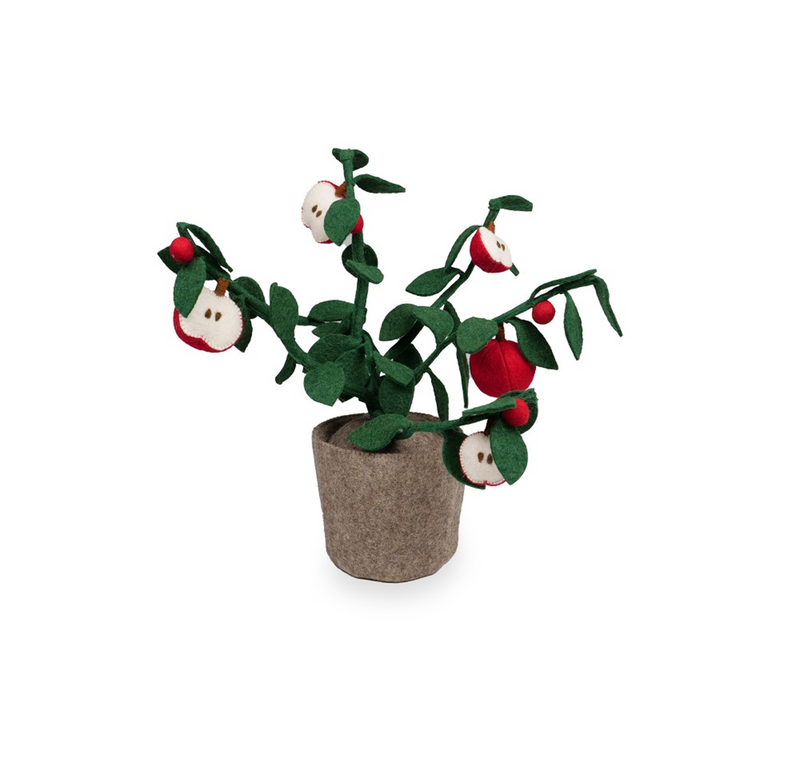 Plant Green 56cm