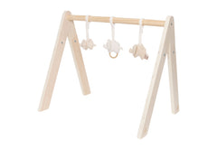 Babygym Toys