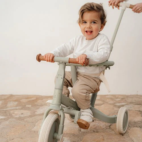 LD Tricycle With Push Bar