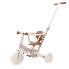 LD Tricycle With Push Bar