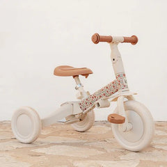 LD Tricycle With Push Bar