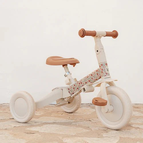 LD Tricycle With Push Bar