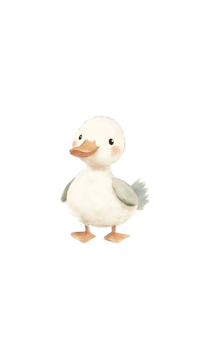 Maxi Cosi Rodifix Pro I-size