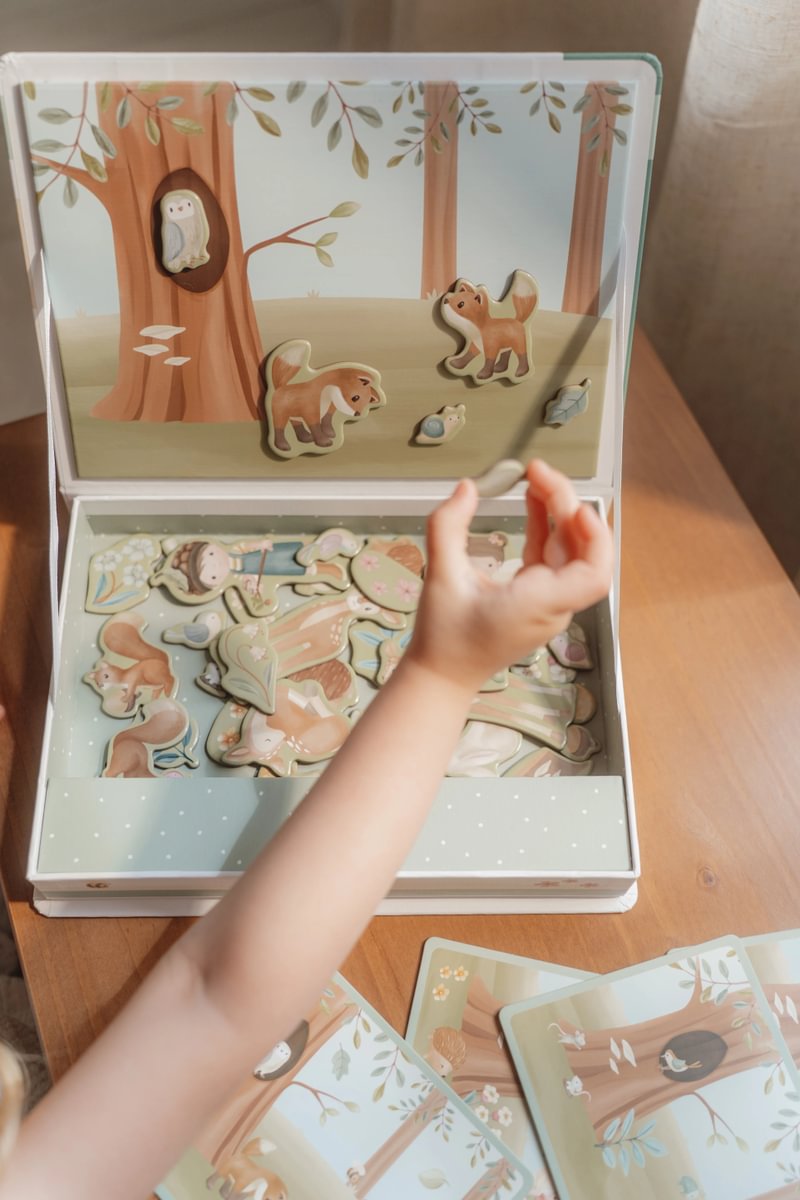 LD Magnetic Play Board  FSC