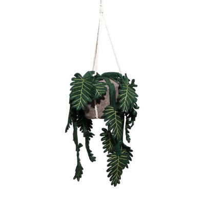 Plant Philo