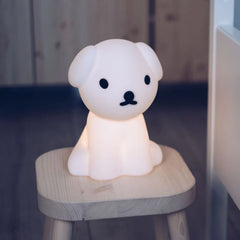 Bundle Of Light