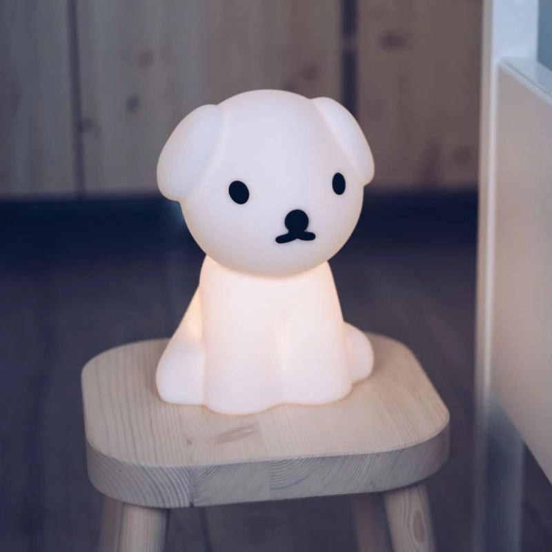 Bundle Of Light