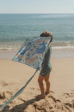 LD Diamond Kite Ocean World