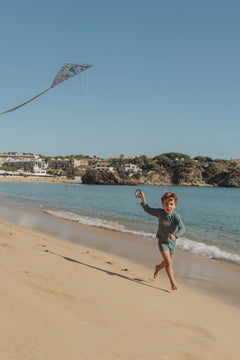 LD Diamond Kite Ocean World