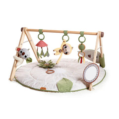 Boho Chic Developmental Gymini