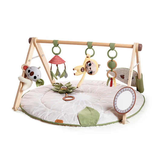 Boho Chic Developmental Gymini