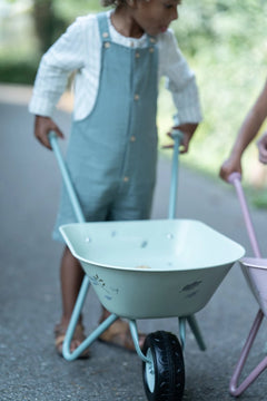 LD  Wheelbarrow FSC