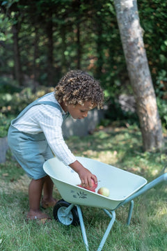LD  Wheelbarrow FSC