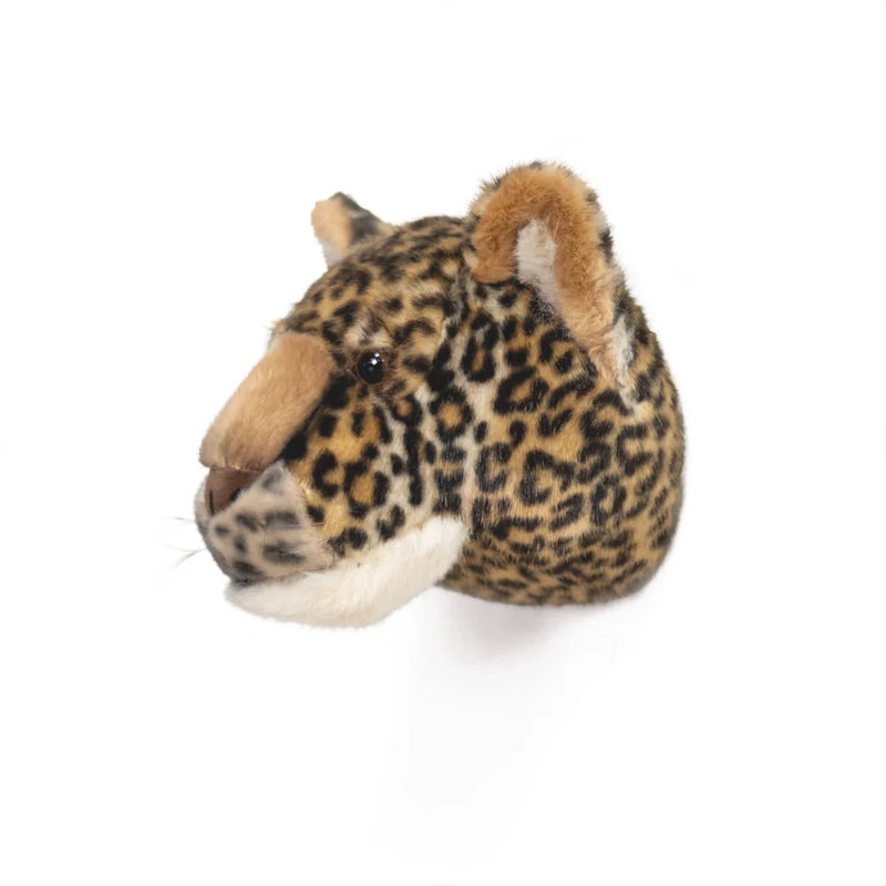 Wall Trophy Leopard Charlie
