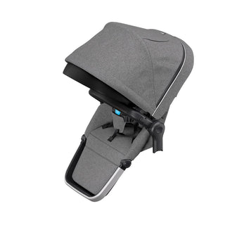 Thule Sleek Sibling Seat