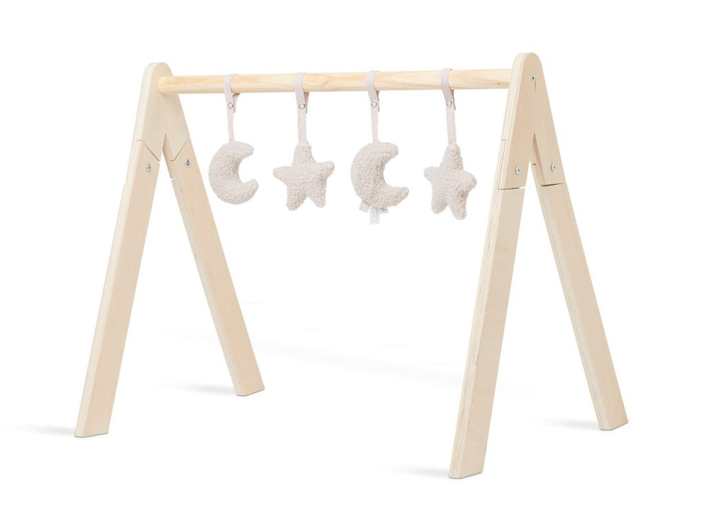 Babygym Toys