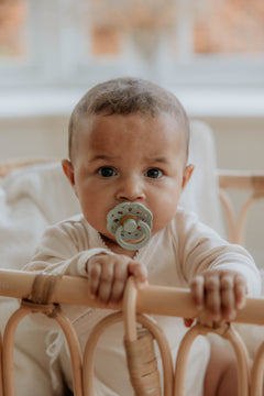 Bibs Boheme Pacifier