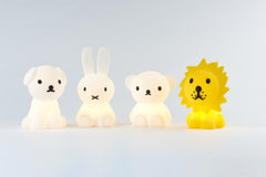 Mr Maria First Light