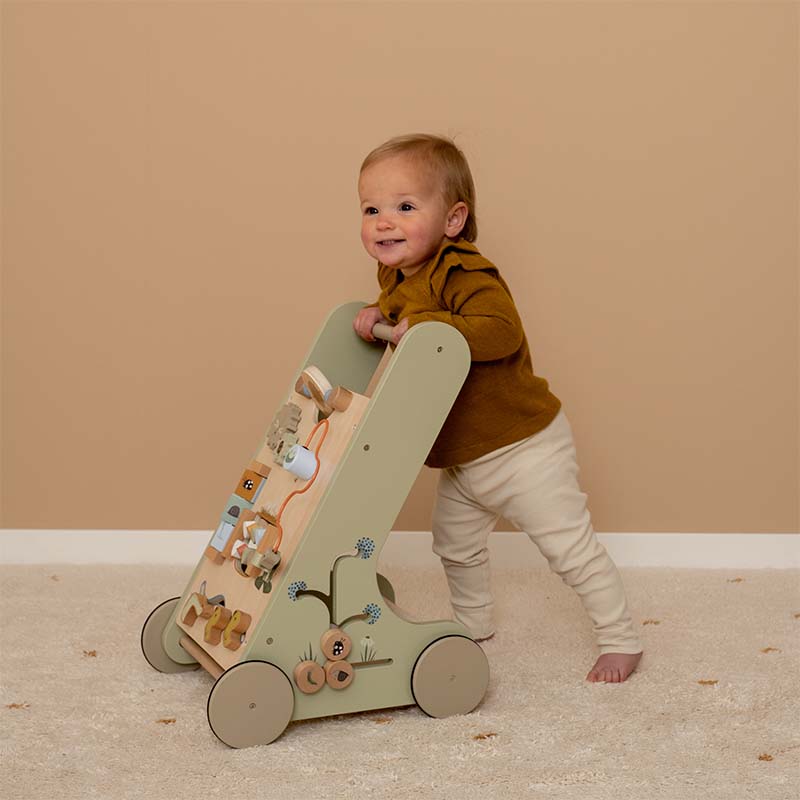 LD Baby Walker Little Goose