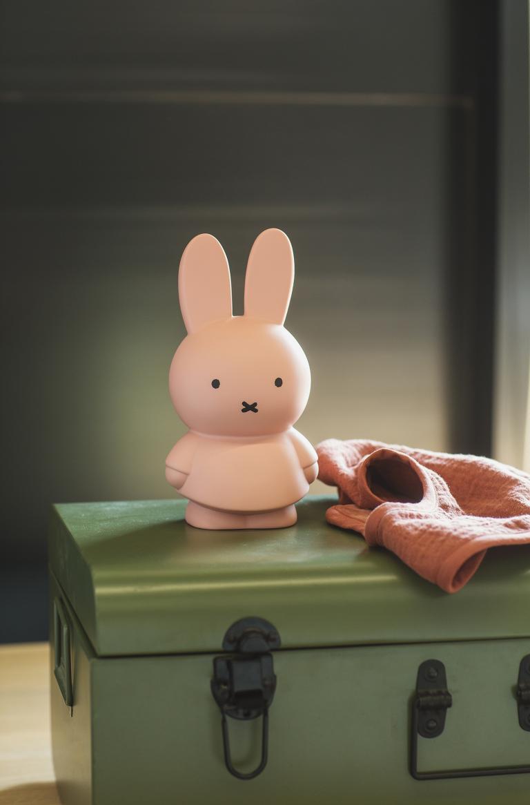 Money Box Miffy