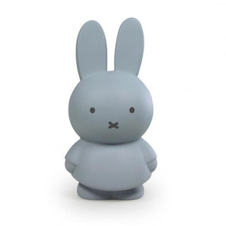 Money Box Miffy