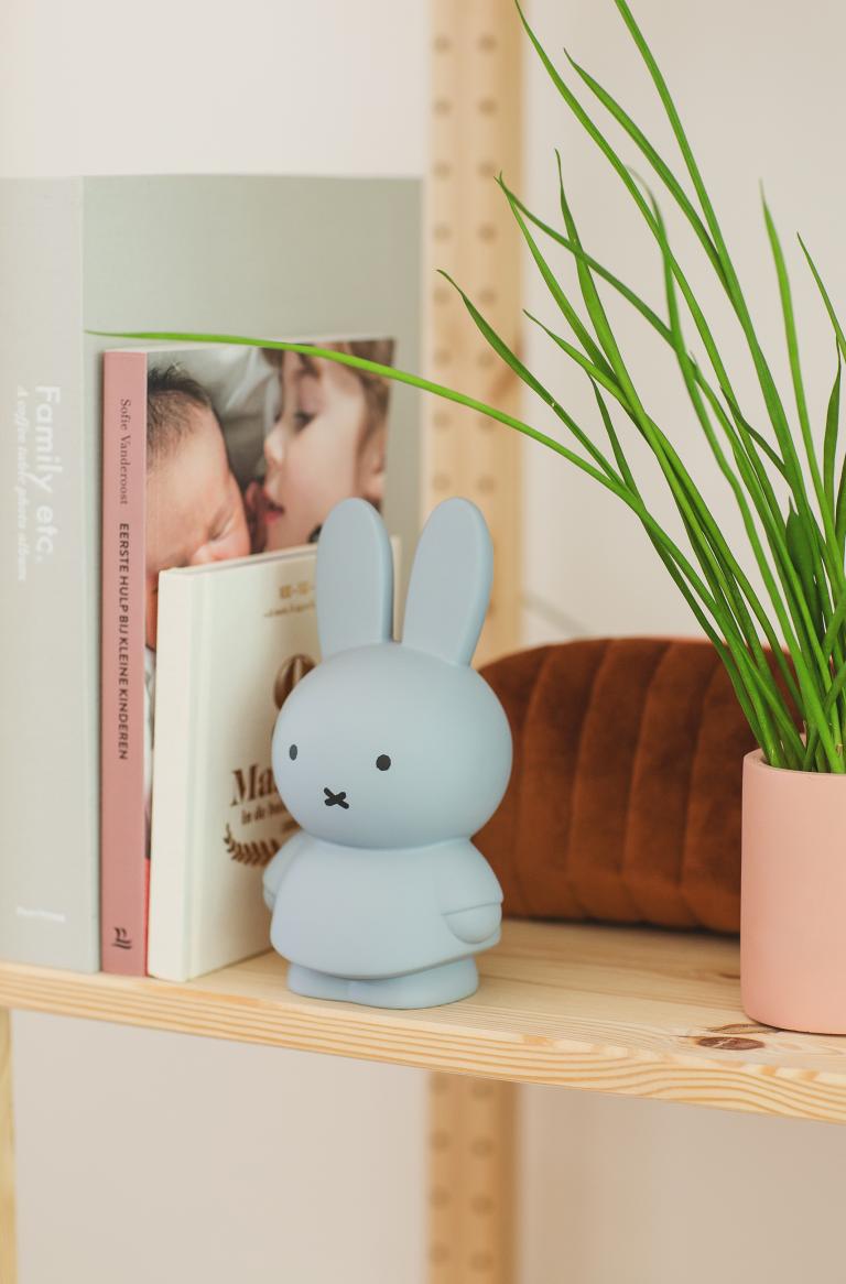 Money Box Miffy