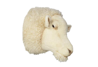 Wall Trophy Sheep