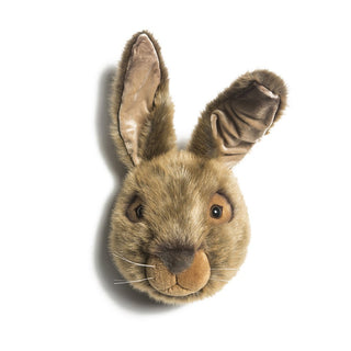 Wall Trophy Hare