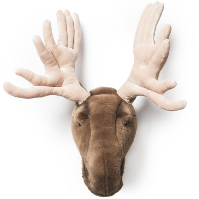 Wall Trophy Moose